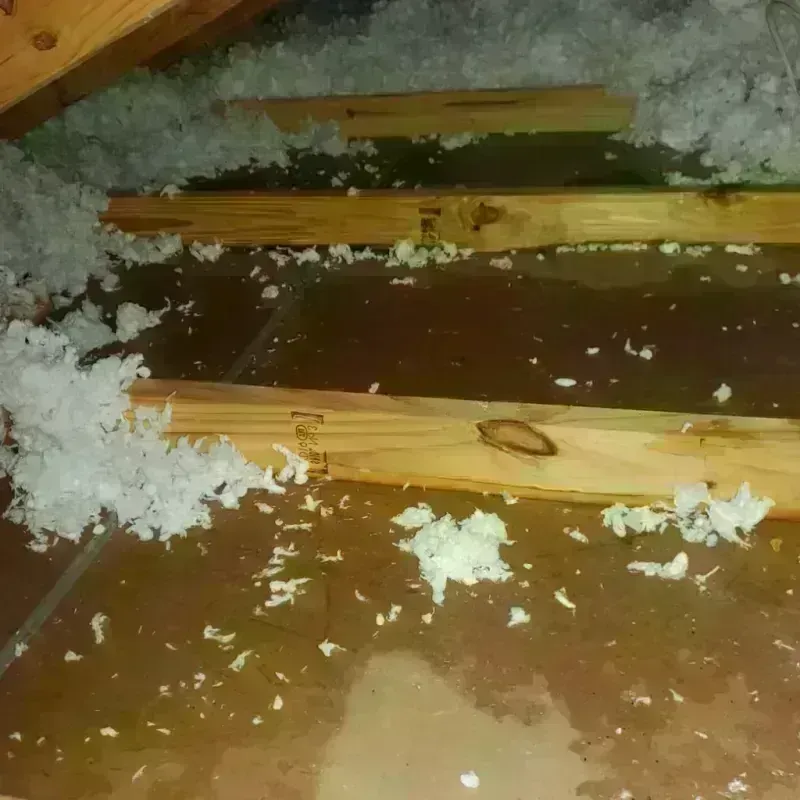 Attic Water Damage in West New York, NJ